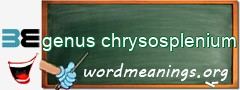 WordMeaning blackboard for genus chrysosplenium